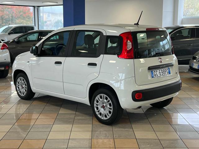 FIAT Panda 1.2 Easy Immagine 2