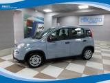 FIAT Panda Hybrid 1.0 FireFly 70cv EU6