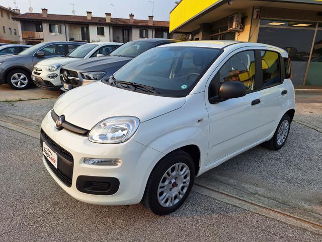 FIAT Panda 1.2 Easy  X NEOPATENTATI   FY023 Immagine 0