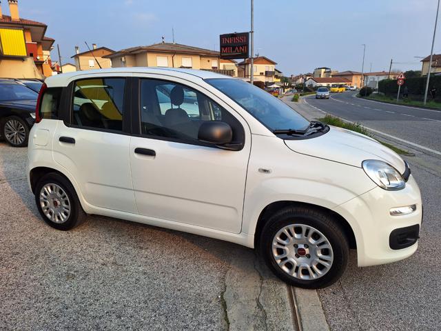 FIAT Panda 1.2 Easy  X NEOPATENTATI   FY023 Immagine 4