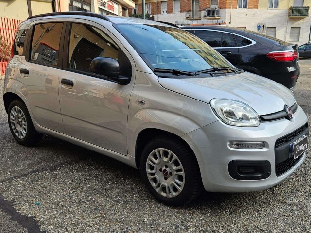 FIAT Panda Panda 1.2 Easy 69cv E6 Immagine 2