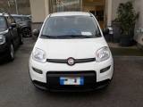 FIAT Panda MY25 - 1.0 FireFly Hybrid POP