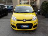 FIAT Panda MY25 - 1.0 FireFly Hybrid POP