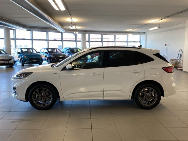 FORD Kuga 2.5 FULL HYBRID ST-LINE 190CV 2WD Immagine 3