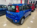 FIAT Panda Panda NUOVA con rottamazione Euro 0-1-2