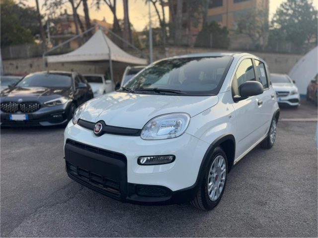 FIAT Panda 1.0 FireFly S&S Hybrid *IVA ESPOSTA* NEOPATENTATI Immagine 0