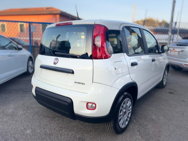 FIAT Panda 1.0 FireFly S&S Hybrid *IVA ESPOSTA* NEOPATENTATI Immagine 3