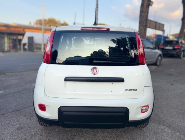 FIAT Panda 1.0 FireFly S&S Hybrid *IVA ESPOSTA* NEOPATENTATI Immagine 4