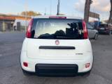 FIAT Panda 1.0 FireFly S&S Hybrid *IVA ESPOSTA* NEOPATENTATI