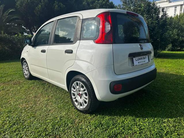 FIAT Panda 1.0 FireFly S&S Hybrid Immagine 3