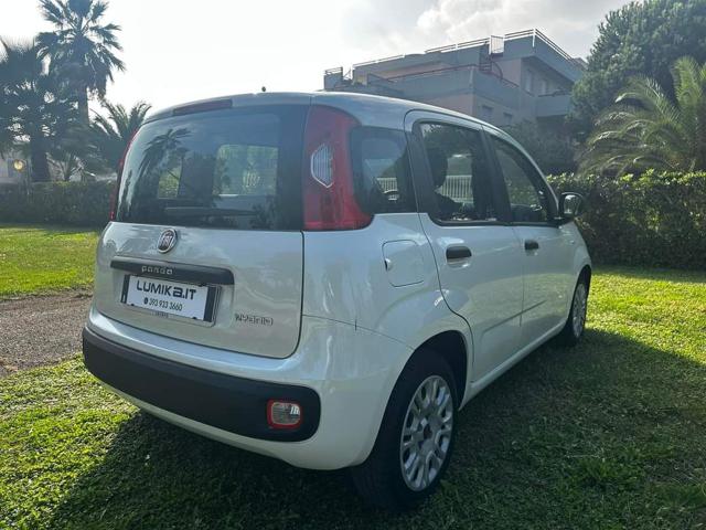 FIAT Panda 1.0 FireFly S&S Hybrid Immagine 4