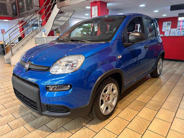 FIAT Panda 1.0 FireFly S&S Hybrid Immagine 2