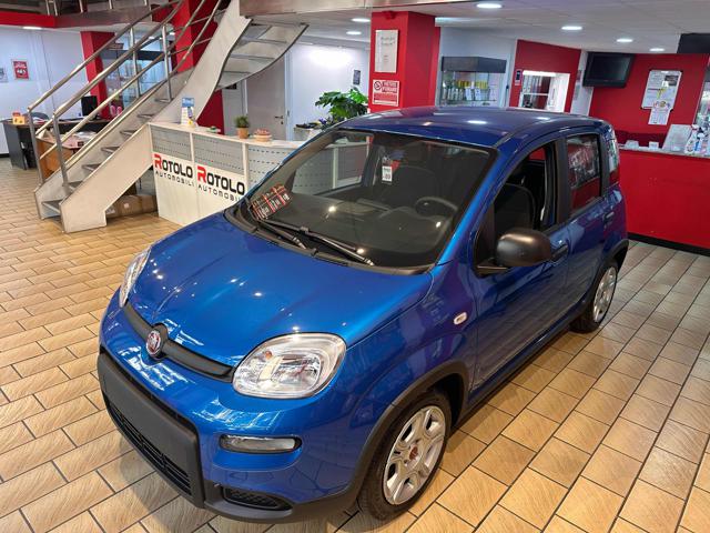 FIAT Panda 1.0 FireFly S&S Hybrid Immagine 4