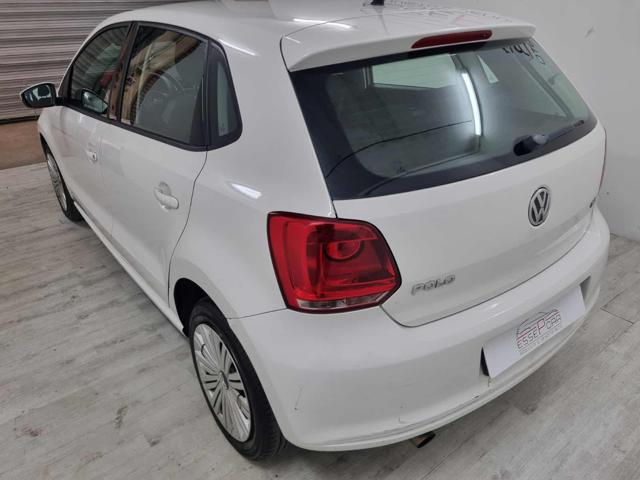 VOLKSWAGEN Polo 1.4 5 porte Comfortline Immagine 3