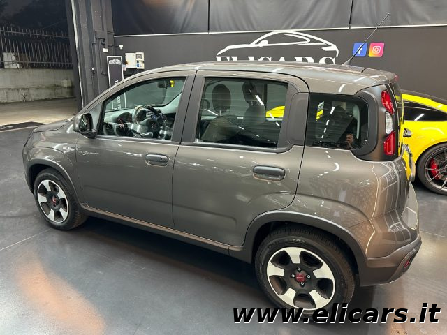 FIAT Panda 1.0 FireFly S&S Hybrid City Cross Immagine 3