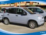 FIAT Panda Hybrid 1.0 FireFly 70cv EU6