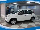 FIAT Panda Hybrid 1.0 FireFly 70cv EU6