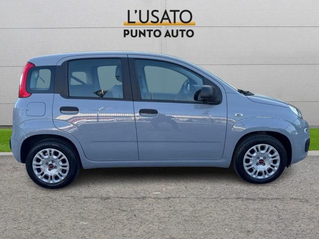 FIAT Panda 1.0 FireFly S&S Hybrid Immagine 2