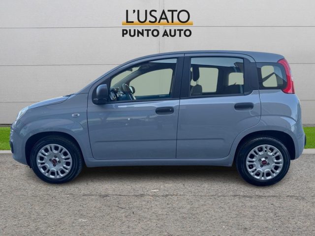 FIAT Panda 1.0 FireFly S&S Hybrid Immagine 3