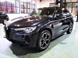 ALFA ROMEO Stelvio 2.2 Td 210Cv AT8 Q4 Veloce - NaviTouch/20