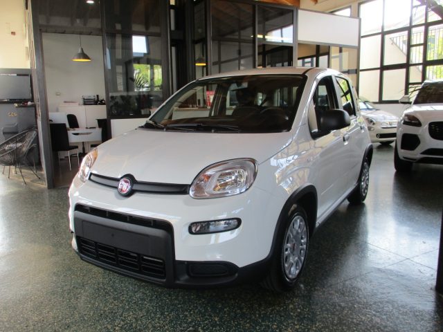 FIAT Panda 1.0 FireFly S&S Hybrid - BLUETOOTH Immagine 0