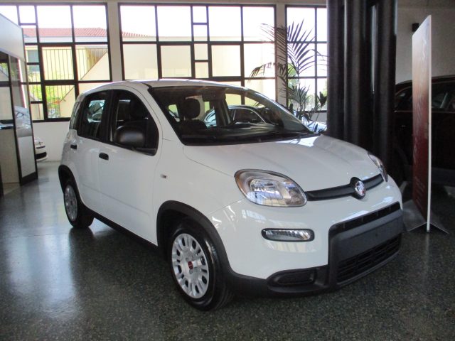 FIAT Panda 1.0 FireFly S&S Hybrid - BLUETOOTH Immagine 1