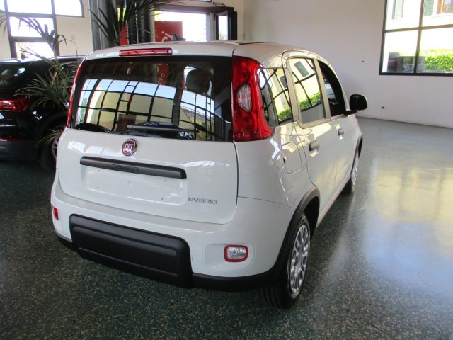 FIAT Panda 1.0 FireFly S&S Hybrid - BLUETOOTH Immagine 3