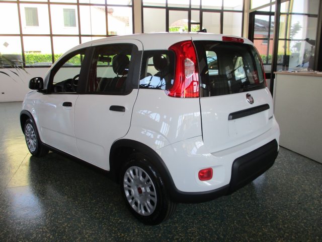 FIAT Panda 1.0 FireFly S&S Hybrid - BLUETOOTH Immagine 2