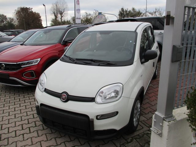 FIAT Panda 1.0 FireFly S&S Hybrid - BLUETOOTH/5Posti Immagine 1