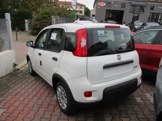 FIAT Panda 1.0 FireFly S&S Hybrid - BLUETOOTH/5Posti Immagine 2