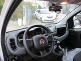 FIAT Panda 1.0 FireFly S&S Hybrid - BLUETOOTH/5Posti