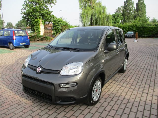 FIAT Panda 1.0 FireFly S&S Hybrid - BLUETOOTH/Sensori Immagine 0