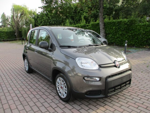 FIAT Panda 1.0 FireFly S&S Hybrid - BLUETOOTH/Sensori Immagine 1