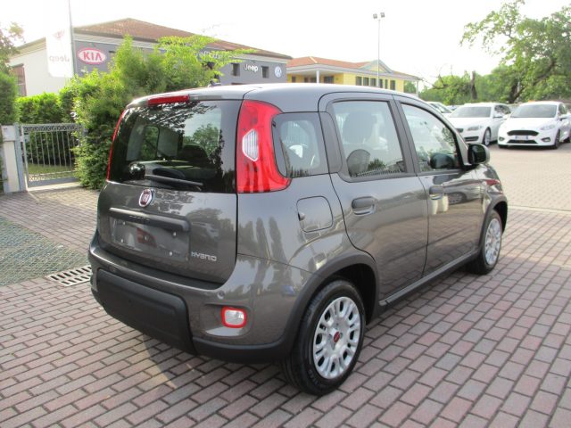 FIAT Panda 1.0 FireFly S&S Hybrid - BLUETOOTH/Sensori Immagine 2