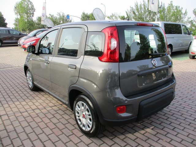 FIAT Panda 1.0 FireFly S&S Hybrid - BLUETOOTH/Sensori Immagine 3