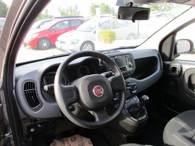 FIAT Panda 1.0 FireFly S&S Hybrid - BLUETOOTH/Sensori Immagine 4