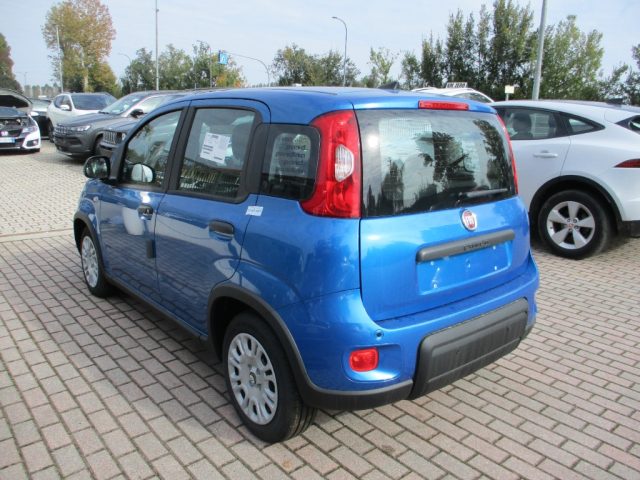 FIAT Panda 1.0 FireFly S&S Hybrid Pandina Immagine 3