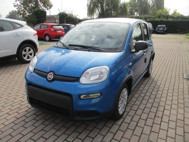 FIAT Panda 1.0 FireFly S&S Hybrid Pandina Immagine 0