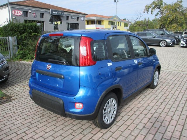 FIAT Panda 1.0 FireFly S&S Hybrid Pandina Immagine 2