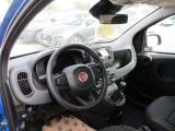 FIAT Panda 1.0 FireFly S&S Hybrid Pandina