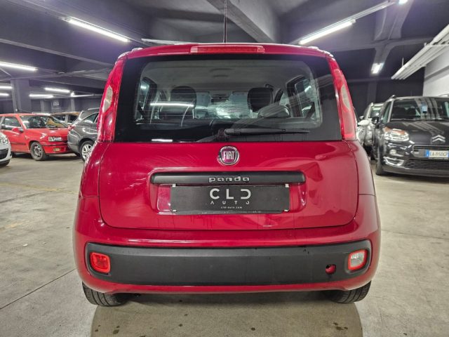 FIAT Panda 1.2 EasyPower Easy Immagine 4