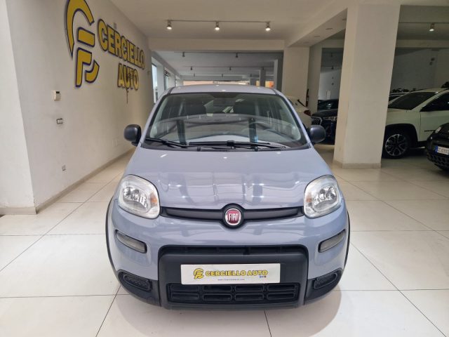 FIAT Panda 1.0 FireFly S&S Hybrid City Life da ?129,00 mensil Immagine 0