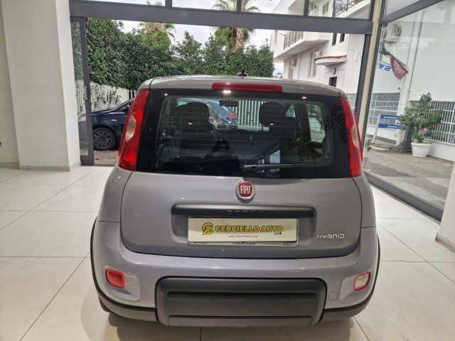 FIAT Panda 1.0 FireFly S&S Hybrid City Life da ?129,00 mensil Immagine 3