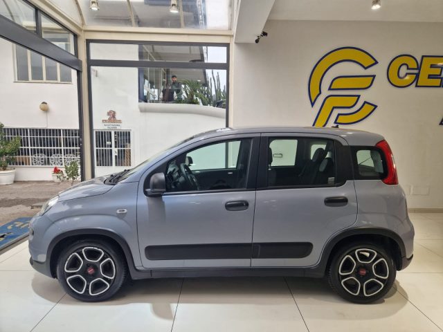 FIAT Panda 1.0 FireFly S&S Hybrid City Life da ?129,00 mensil Immagine 4