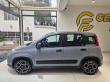 FIAT Panda 1.0 FireFly S&S Hybrid City Life da ?129,00 mensil