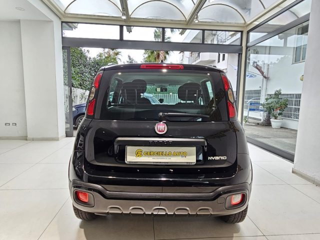 FIAT Panda 1.0 FireFly S&S Hybrid cross Launch Edition da?119 Immagine 3