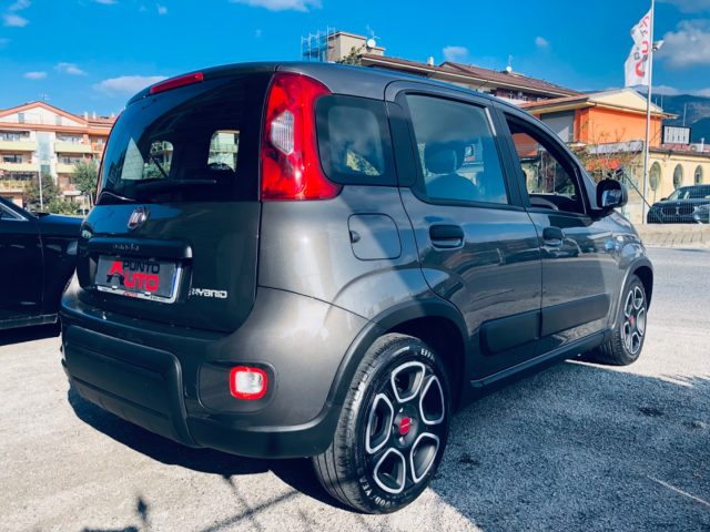 FIAT Panda 1.0 FireFly S&S Hybrid City Life Immagine 3