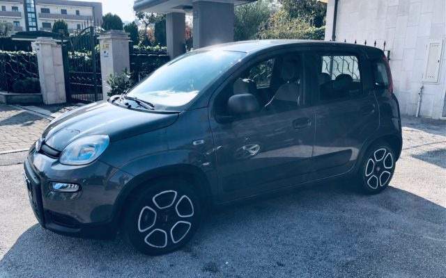 FIAT Panda 1.0 FireFly S&S Hybrid City Life Immagine 4