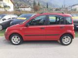 FIAT Panda 1.2 Emotion - OK NEOPATENTATI -