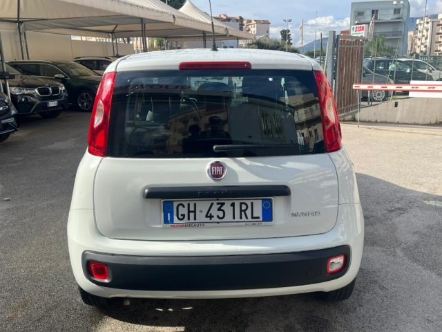 FIAT Panda 1.0 FireFly S&S Hybrid Immagine 4